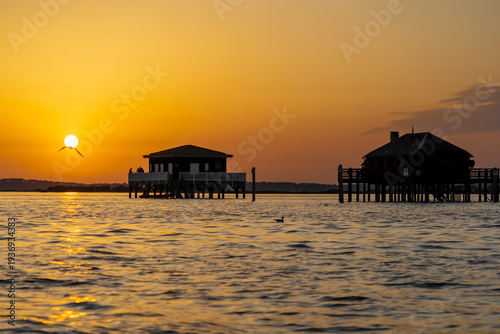Fotografía Les Cabanes Tchanquées, sur l'île aux Oiseaux, au milieu du Bassin d'Arcachon en Gironde sont l'une des attractions touristiques les plus visitées
