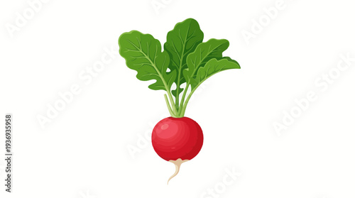 bunch of radish