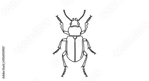 Simple black line art drawing of a beetle on a white background.
