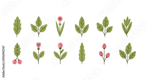 An illustration depicts various green leaves and pink flowers arranged in rows on a white background.