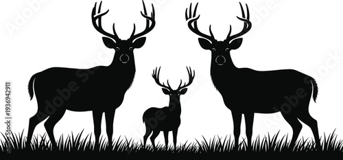 Black silhouette of a deer family with two large bucks and a young fawn standing in tall grass isolated on white background.