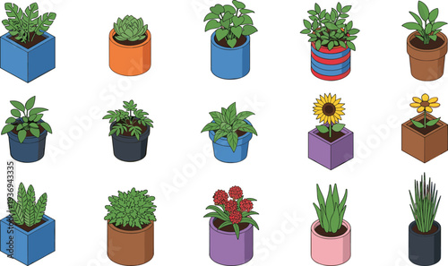 Potted houseplants collection, indoor plants in pots set, decorative home garden plants vector illustration, houseplant icons bundle