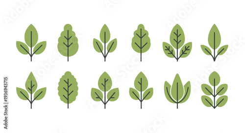 Vector Collection of Stylized Green Leaf Illustrations, Diverse Botanical Elements Representing Nature, Growth, and Ecology in Minimalist Graphic Design for Digital and Print Projects