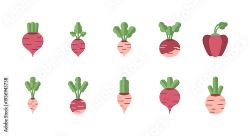 A colorful collection of flat design root vegetable and bell pepper icons, showcasing various radish types and fresh produce for healthy eating graphics and culinary projects
