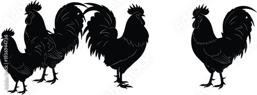Rooster silhouette vector illustration set, detailed farm chicken collection, black domestic poultry birds isolated on white background