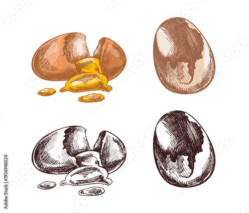 Hand drawn vintage egg and cracked egg with yolk colored and monochrome engraving style illustration set