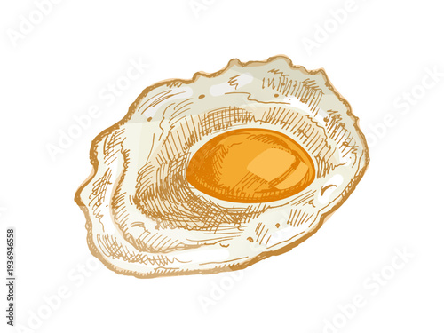 Hand drawn vintage fried egg sunny side up engraving style breakfast food culinary illustration
