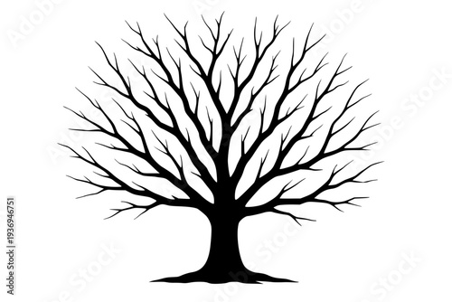 Bare tree silhouette, black tree, winter tree, tree branches, isolated tree