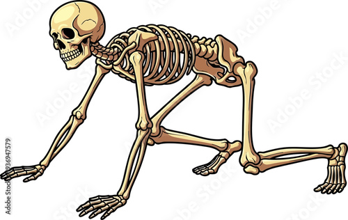 Human skeleton crawling on the ground in a creepy posture