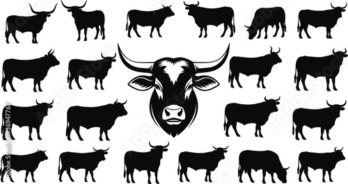 Black and white vector set of bull and cow silhouettes featuring a large longhorn head mascot and various cattle in profile.