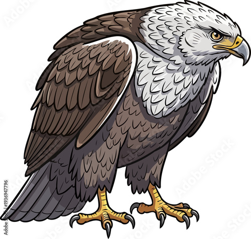 Majestic bald eagle standing in profile view