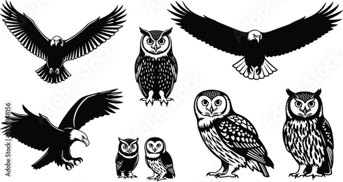 Black and white vector set of eagle and owl silhouettes featuring flying predators and perched birds for nature and wildlife design.