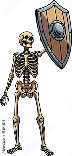 Undead skeleton warrior raising a wooden shield for defense