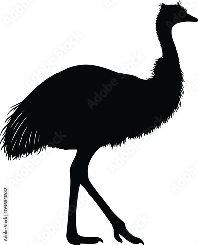 Black silhouette of an adult emu bird standing in profile view isolated on a white background for Australian wildlife design