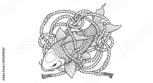 Koi Fish Caught in Nautical Rope Knot Illustration