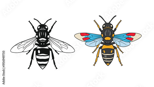 Set of two wasp illustrations in black and white silhouette and full color showing detailed wing and body patterns.