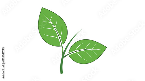 Green plant sprout with two leaves is depicted as a simple illustration on a plain white background for environmental concepts.