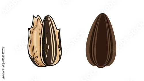 Illustration of two sunflower seeds showing one in its dark striped shell and another partially opened to reveal the healthy nut inside.