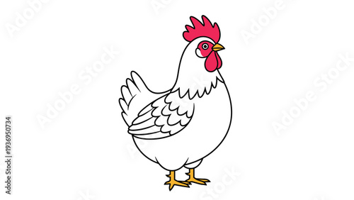 Front view illustration of a white hen with a bright red comb and wattle standing against a plain white background for poultry farm themes.