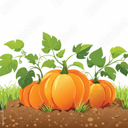 Vibrant pumpkins growing in a garden under bright sunlight