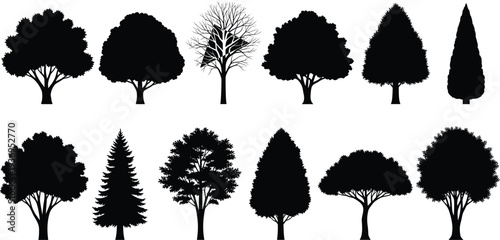 Collection of various tree silhouettes including oak, pine, fir, and deciduous species, isolated black vector icons for nature and landscape design.