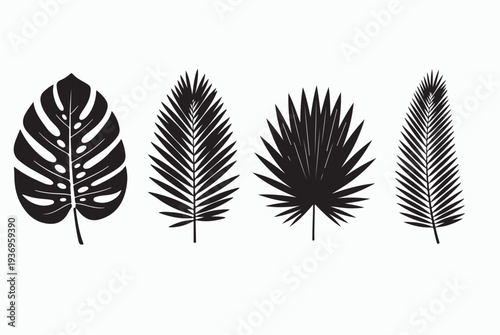 Tropical palm leaves silhouettes and line art set.