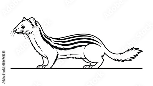 Striped Weasel Portrait: A detailed illustration of a weasel. Captured in a minimalist style, accentuating its sleek form and distinctive stripe, symbolizing agility and wildlife resilience.