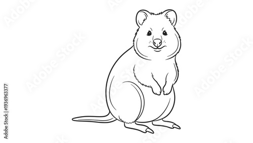 Smiling Quokka Line Art: A charming illustration of a quokka, its expression radiating friendliness and joy, ready to bring cheer and delight.