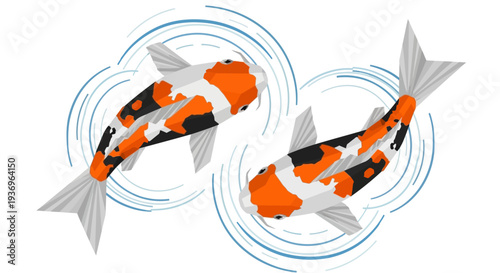 Two colorful koi fish swimming in clear water with ripples