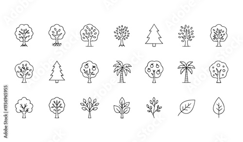 Trees line icon set with roots branches leaves fruit apple orange evergreen tropical thin outline vector collection