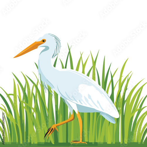 White heron in green grass illustration