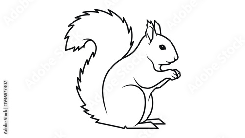 Elegant Squirrel Illustration: A meticulously drawn outline of a squirrel showcases its graceful form and captures the essence of this captivating creature.