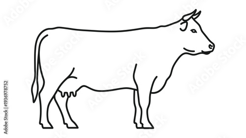 Cow Outline: A simple, elegant outline illustration of a cow, perfect for educational resources, design projects, or adding a touch of rustic charm.
