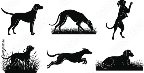 Hunting dog silhouettes set featuring labrador and greyhound breeds running jumping and standing in grass for outdoor sporting and veterinary vector design