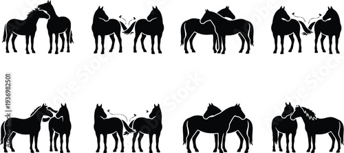Silhouette illustrations of horses interacting in various poses and actions