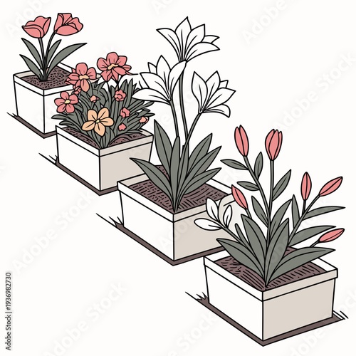 Colorful flowers in square planters garden plants