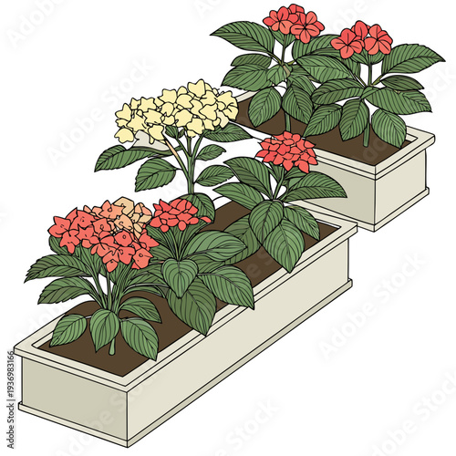 Of two planters with hydrangea flowers garden plants