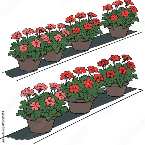 Red flowers in brown pots on a shelf potted plants