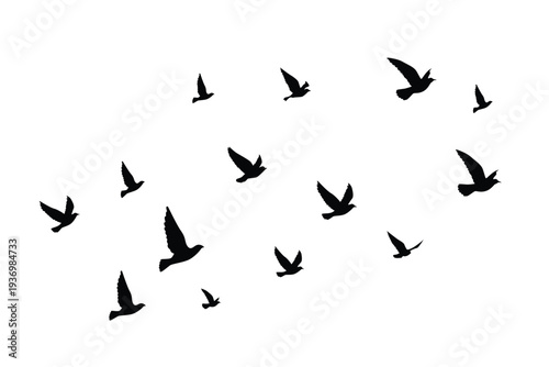 Flying birds silhouettes wallpaper pattern.