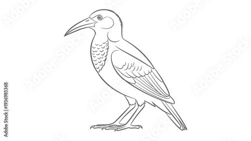 Minimalist Crow Contour: A refined pen sketch of a crow, the image is a minimalist illustration, showcasing the bird's form and intricate feather details. 