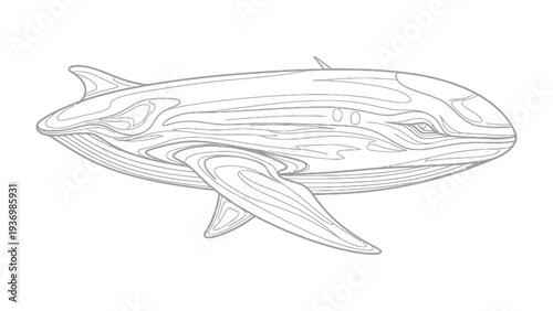 Whale Line Art: An elegant illustration of a streamlined whale, rendered in minimalist line art, depicting the grace and majesty of marine life.