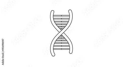 Clean vector outline of a genetic double helix, ideal for scientific education, research, and biotechnology designs