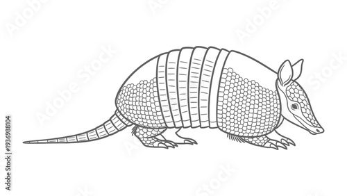 Armadillo Sketch: A detailed, grayscale illustration of an armadillo, featuring its distinctive segmented armor and pointed snout, walking in profile.