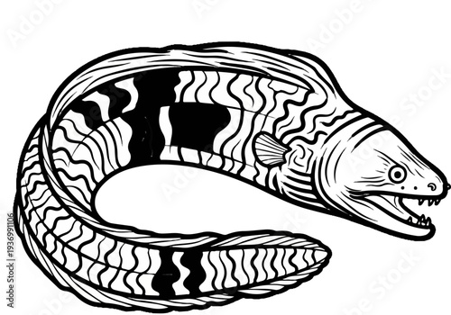 Stylized black and white drawing of a moray eel with wavy stripes