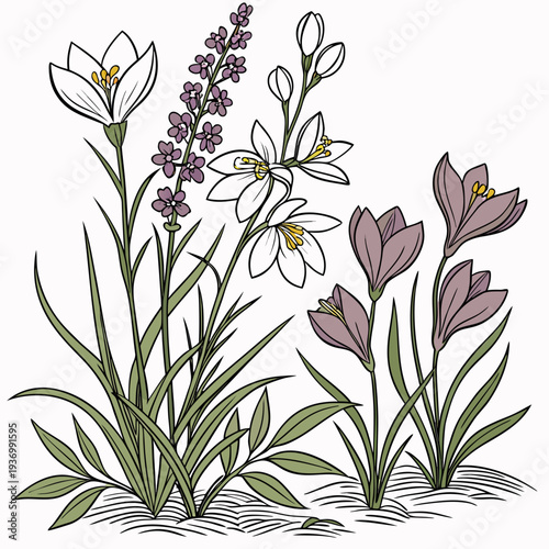 Blooming ornamental garden flowers with green leaves