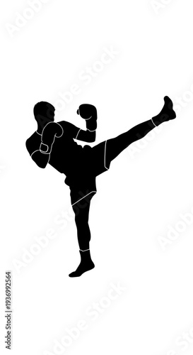 Dynamic silhouette of a martial artist performing a powerful high kick during training or combat.