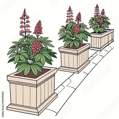 Three pink flowering plants in square beige planters on a white background