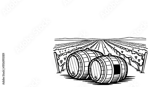 Two wooden barrels sit in a vineyard with rows of grapevines stretching to the horizon
