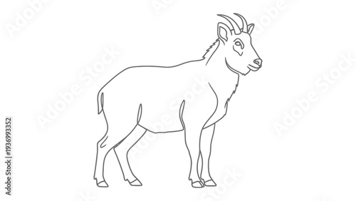 Majestic Mountain Goat Line Art: A sleek, minimalist line drawing of a powerful mountain goat, showcasing its impressive horns and rugged elegance. 