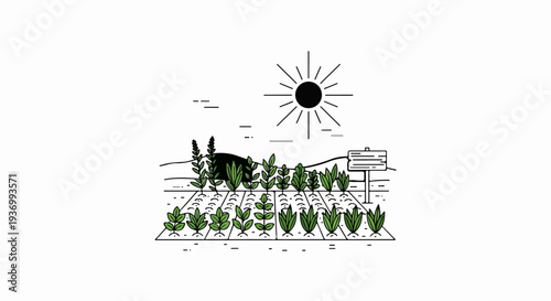 A stylized sun shines on rows of healthy green plants in a garden